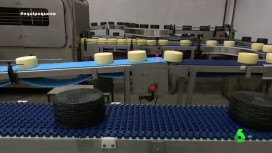 Paso a paso de la fabricación masiva: así se crean los quesos industriales Paso a paso de la fabricación masiva: así se crean los quesos industriales