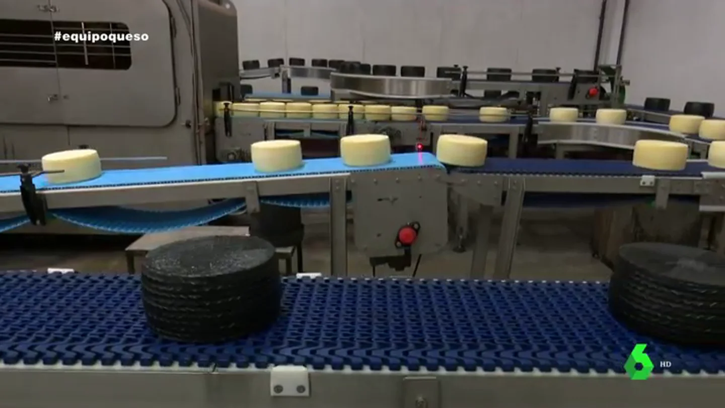Paso a paso de la fabricación masiva: así se crean los quesos industriales Paso a paso de la fabricación masiva: así se crean los quesos industriales