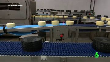 Paso a paso de la fabricación masiva: así se crean los quesos industriales