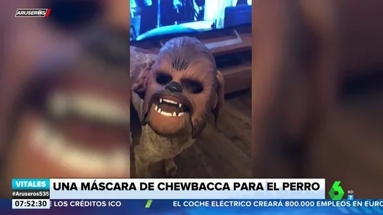 Esto es lo que ocurre cuando disfrazas a tu perro con una máscara de Chewbacca Esto es lo que ocurre cuando disfrazas a tu perro con una máscara de Chewbacca
