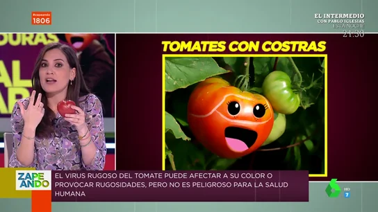 Así es el virus rugoso del tomate que hizo temblar a todo el sector: Boticaria García te da las claves Así es el virus rugoso del tomate que hizo temblar a todo el sector: Boticaria García te da las claves
