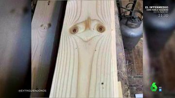 La surrealista "aparición" de un avestruz en una tabla de madera