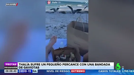 Thalía sufre un percance en la playa: "¿Es que no me van a dejar en paz? Thalía sufre un percance en la playa: "¿Es que no me van a dejar en paz?