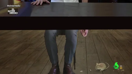 Vídeo Manipulado - Lo que no se vio en el anuncio de Iglesias de su salida del Gobierno Vídeo Manipulado - Lo que no se vio en el anuncio de Iglesias de su salida del Gobierno: así alimentaba a escondidas a un ratón