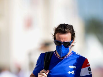Fernando Alonso
