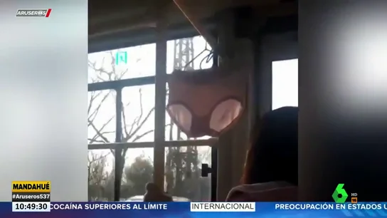 Imágenes surrealistas: una mujer cuelga su ropa interior en las barras de un autobús urbano Imágenes surrealistas: una mujer cuelga su ropa interior en las barras de un autobús urbano