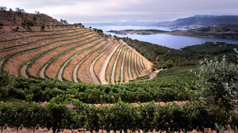 Finca Garbet