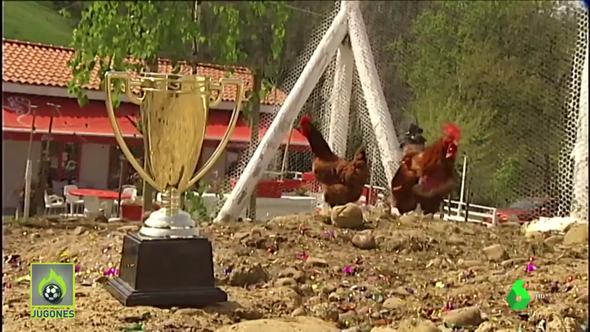 Granja Cabañuca, el lugar donde las gallinas predicen el resultado de la final de Copa entre la Real y el Athletic