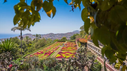 Jardín Botánico