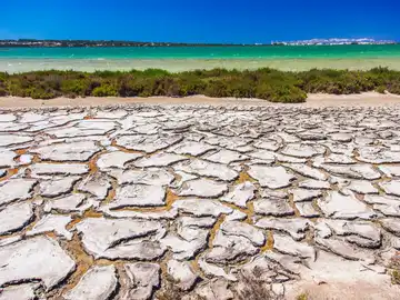 Laguna Estany Pudent. Parque Natural de Ses Salines (Ibiza y Formentera) Laguna Estany Pudent. Parque Natural de Ses Salines (Ibiza y Formentera)
