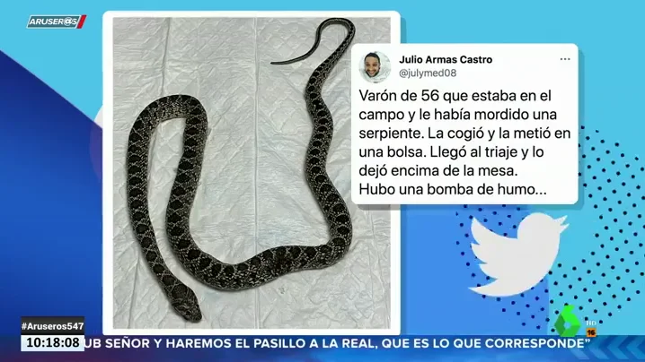 Le muerde una serpiente y la lleva al hospital para saber si es venenosa