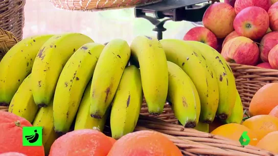 Plátano de Canarias Plátano de Canarias