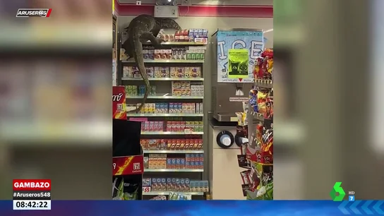 Un lagarto gigante irrumpe en un supermercado y lo destroza todo a su paso Un lagarto gigante irrumpe en un supermercado y lo destroza todo a su paso