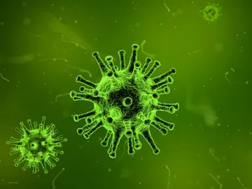 Virus Virus