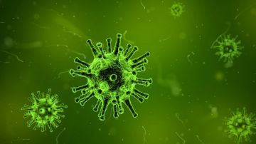 Muchos virus que infectan a humanos pueden ser asintomáticos