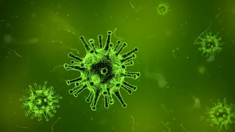 Virus Virus