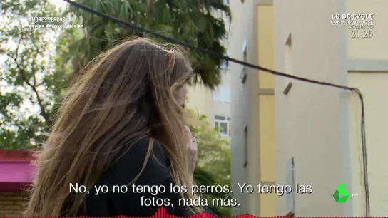 El indignante testimonio de un hombre que estafa a través de la venta de perros: "Yo vendo ilusiones; no estafo, sino hurto" El indignante testimonio de un hombre que estafa a través de la venta de perros: "Yo vendo ilusiones; no estafo, sino hurto"