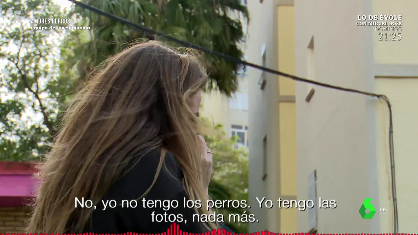 El indignante testimonio de un hombre que estafa a través de la venta de perros: "Yo vendo ilusiones; no estafo, sino hurto" El indignante testimonio de un hombre que estafa a través de la venta de perros: "Yo vendo ilusiones; no estafo, sino hurto"
