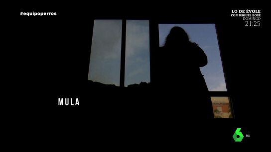 Una 'mula' de la estafa de venta de cachorros desvela el 'modus operandi': "Quien se come todo el marr&oacute;n eres t&uacute;"