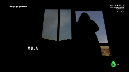 Una 'mula' de la estafa de venta de cachorros desvela el 'modus operandi': "Quien se come todo el marrón eres tú" Una 'mula' de la estafa de venta de cachorros desvela el 'modus operandi': "Quien se come todo el marrón eres tú"