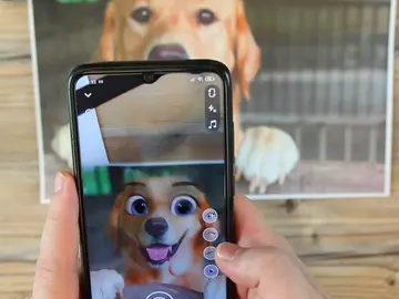Convierte a tu mascota en un personaje de Disney con este filtro Convierte a tu mascota en un personaje de Disney con este filtro
