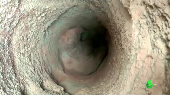 Cría de elefante en un pozo Cría de elefante en un pozo