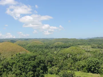 Chocolate Hills. Bohol Chocolate Hills. Bohol
