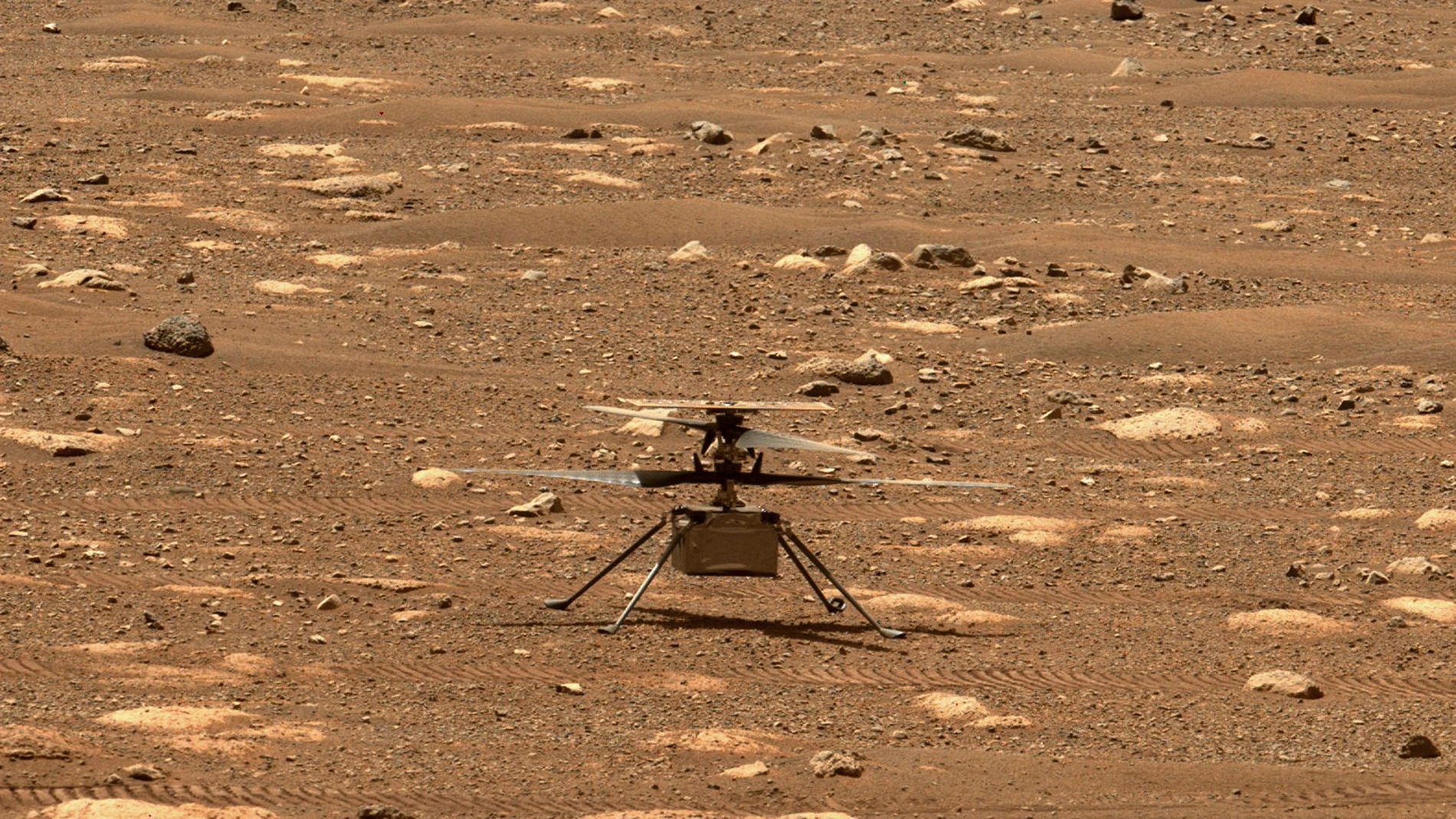 Horario y dónde ver el vuelo del Ingenuity, la primera aeronave que volará en Marte