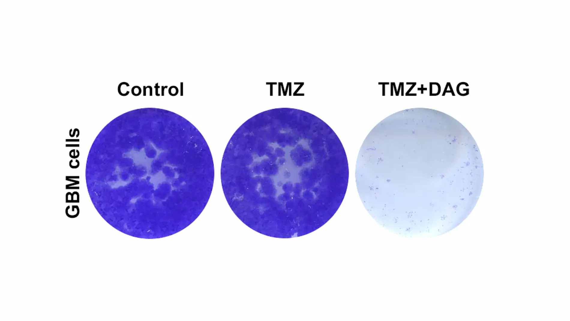 gráfico de la terapia combinada