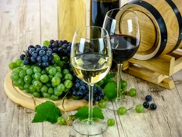 Vinos Vinos
