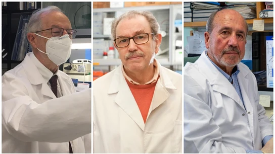 De izquierda a derecha: Luis Enjuanes, Vicente Larraga y Mariano Esteban, los tres investigadores líderes de los proyectos de vacunas españolas. De izquierda a derecha: Luis Enjuanes, Vicente Larraga y Mariano Esteban, los tres investigadores líderes de los proyectos de vacunas españolas.
