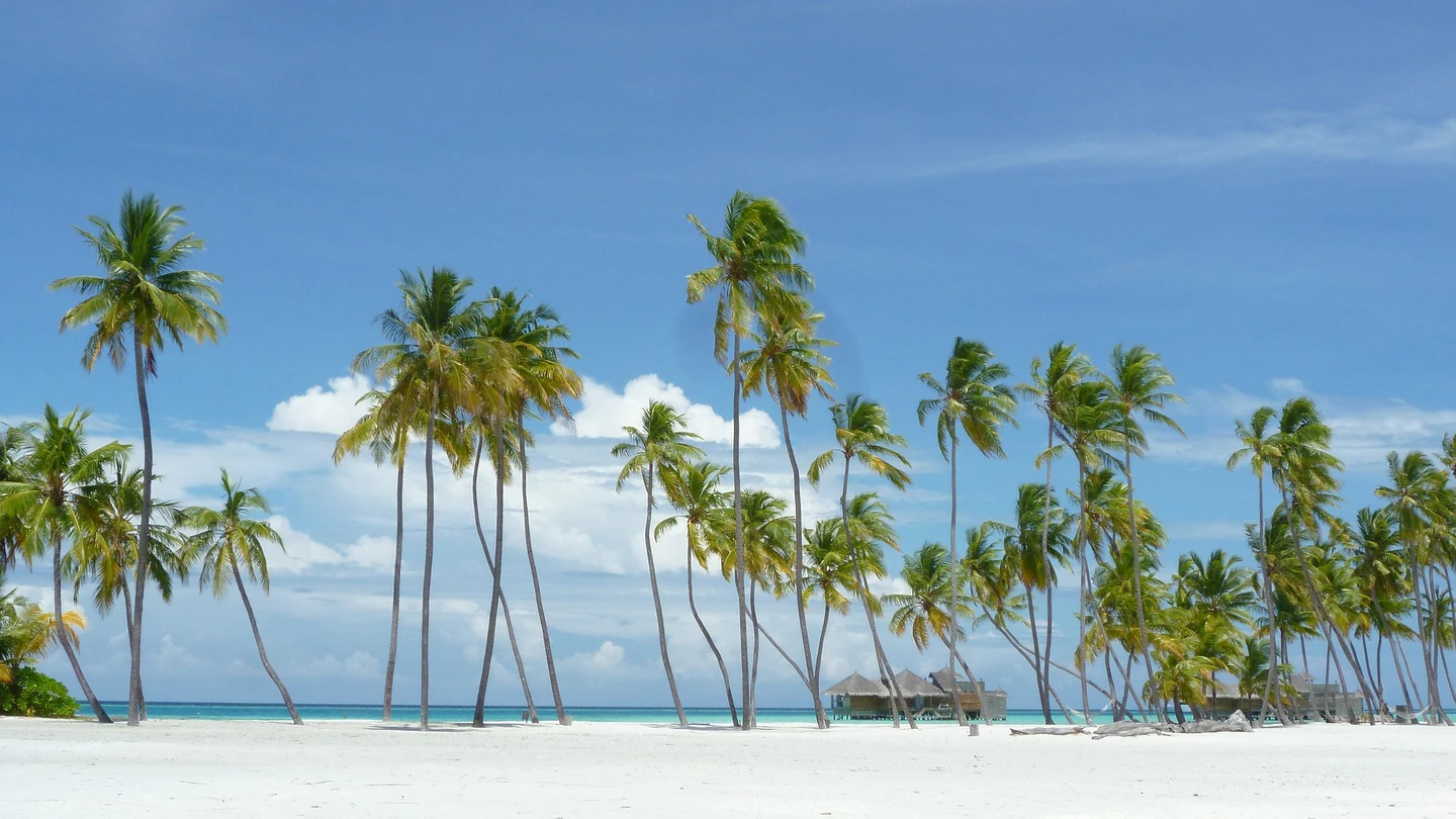 Una de las paradisiacas playas de las Maldivas Una de las paradisiacas playas de las Maldivas