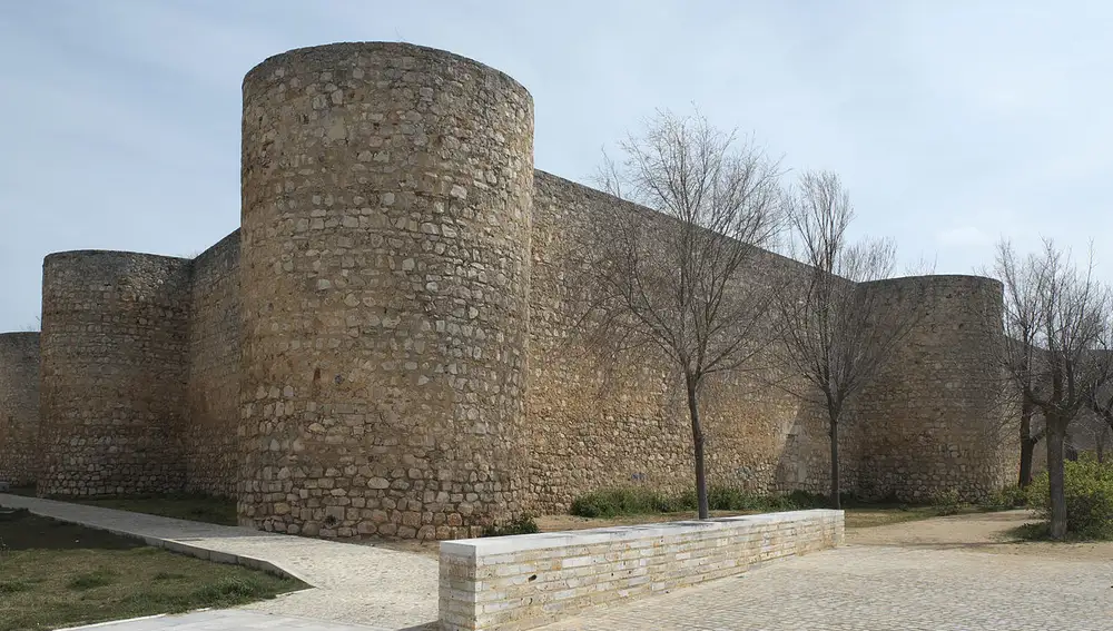 Castillo de Toro