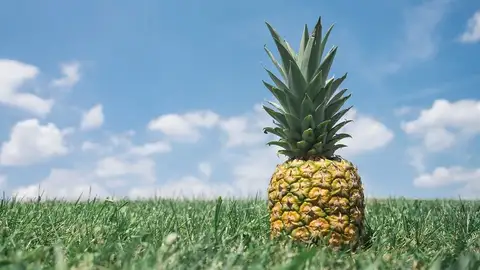 Piña Piña