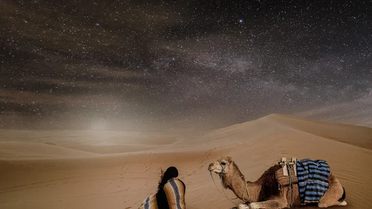 Una mujer observa el cielo nocturno en un desierto junto a su camello Una mujer observa el cielo nocturno en un desierto junto a su camello