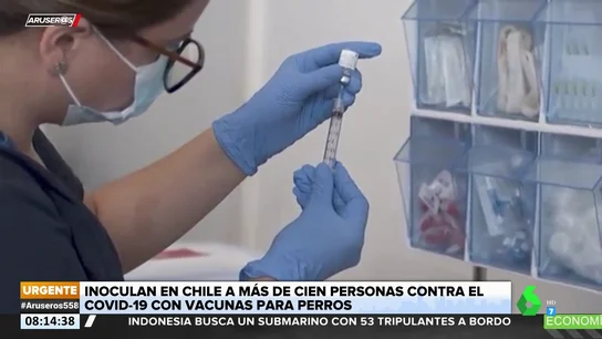 VACUNAS PERROS VACUNAS PERROS