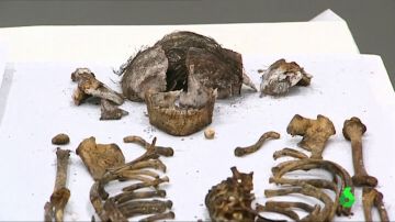 Encuentran un sarcófago con el cuerpo de una niña en la Capilla del Real Alcázar de Sevilla