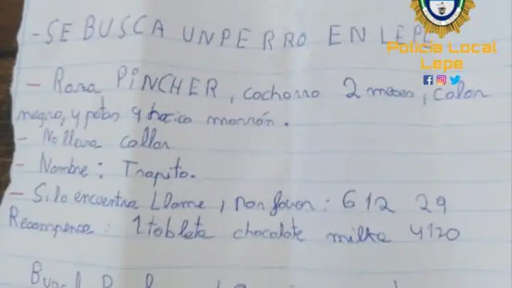 Atención, se busca: la tierna nota de un niño de Lepe que ofrece chocolate para recuperar a 'Trapito'