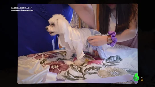 El motivo por el que la falsa hija del rey bautizó a su perro con el nombre de Franco: "Le vistió para la ocasión" El motivo por el que la falsa hija del rey bautizó a su perro con el nombre de Franco: "Le vistió para la ocasión"