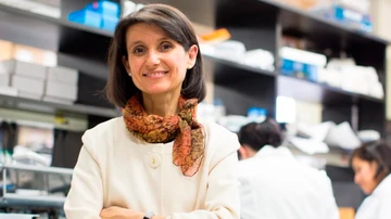 Ana María Cuervo, doctora titular de la Cátedra Robert y Renée Belfer para el Estudio de las Enfermedades Neurodegenerativas