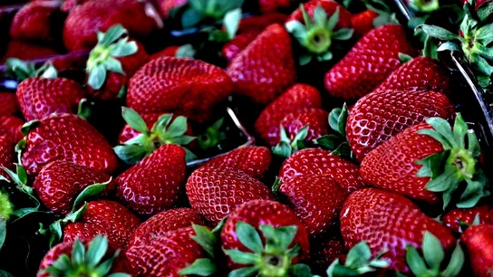 Imagen de archivo de fresas Imagen de archivo de fresas