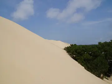 Duna de Pilat Duna de Pilat