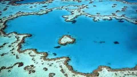 Heart Reef Heart Reef