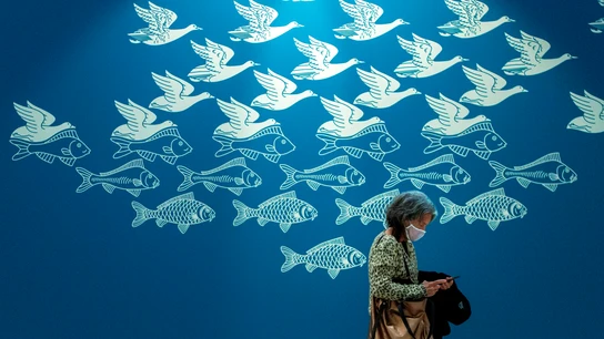Una mujer pasa delante de una obra gráfica de aves volando Una mujer pasa delante de una obra gráfica de aves volando