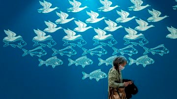 Una mujer pasa delante de una obra gráfica de aves volando