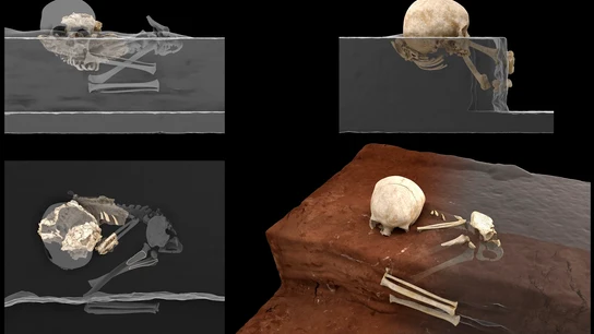 Reconstrucción virtual de los restos del homínido de Panga ya Saidi en la cavidad EFE