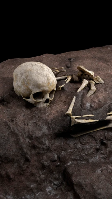Reconstrucción virtual ideal de la posición de Mtoto en la cavidad del enterramiento humano más antiguo de África