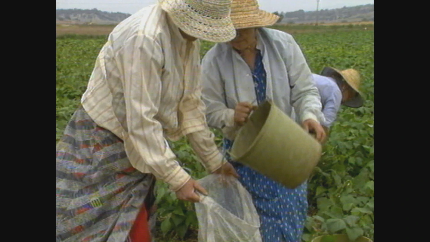 Imagen de agricultores en el campo Imagen de agricultores en el campo