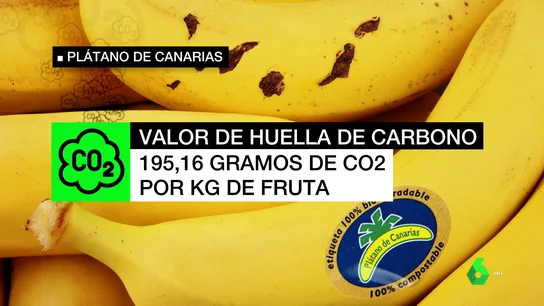 Platanos Platanos