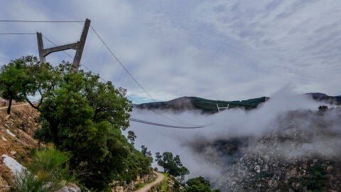 Puente 516 Arouca